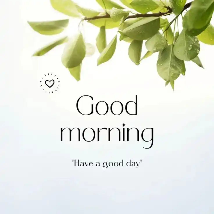 assalamu alaikum good morning pic