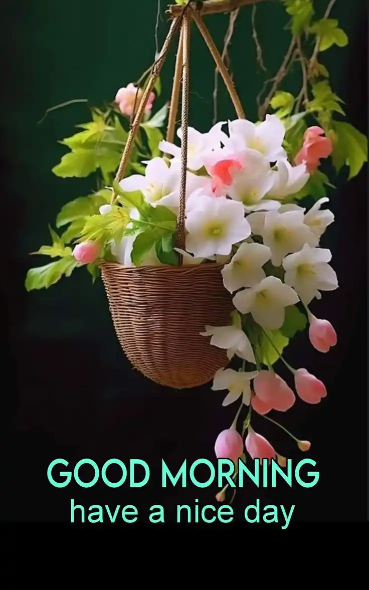 bajrangbali good morning photos