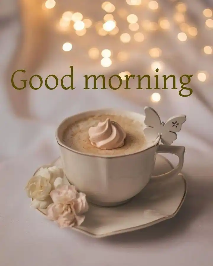 beautiful good morning images hd 1080p download