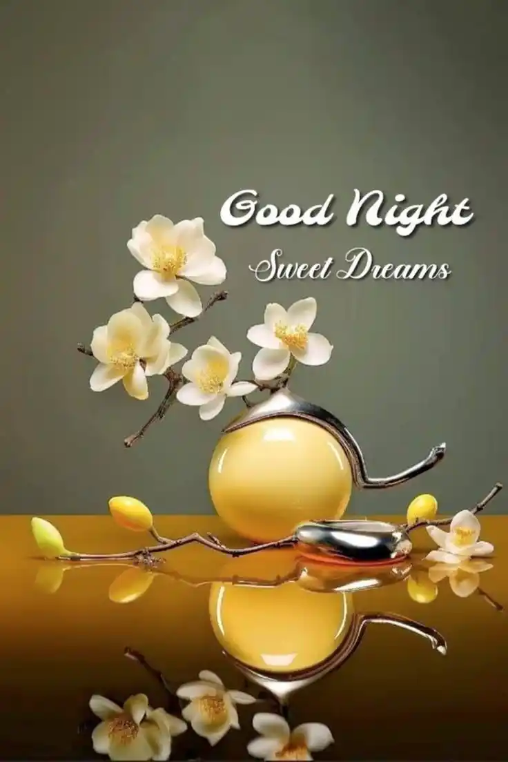 beautiful good night photo with quotes