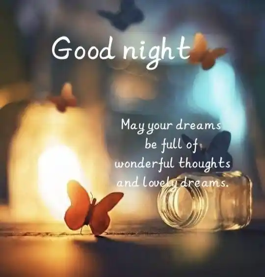 beautiful good night photo