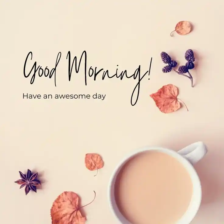 cartoon good morning pic