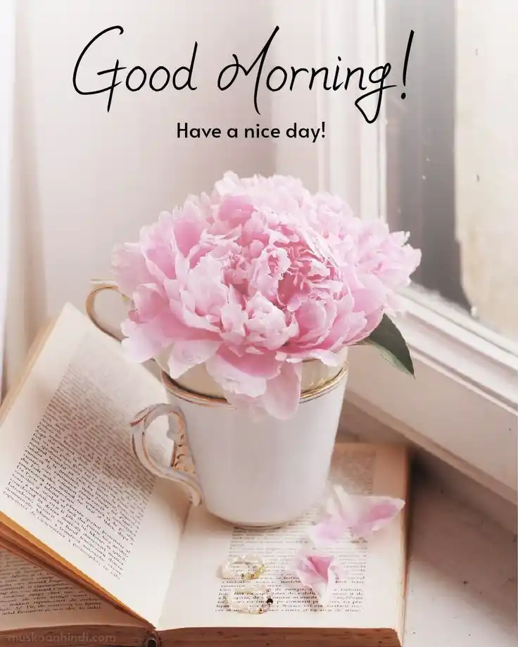 download good morning pic