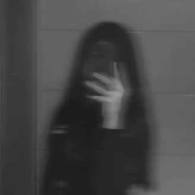 face blur filter