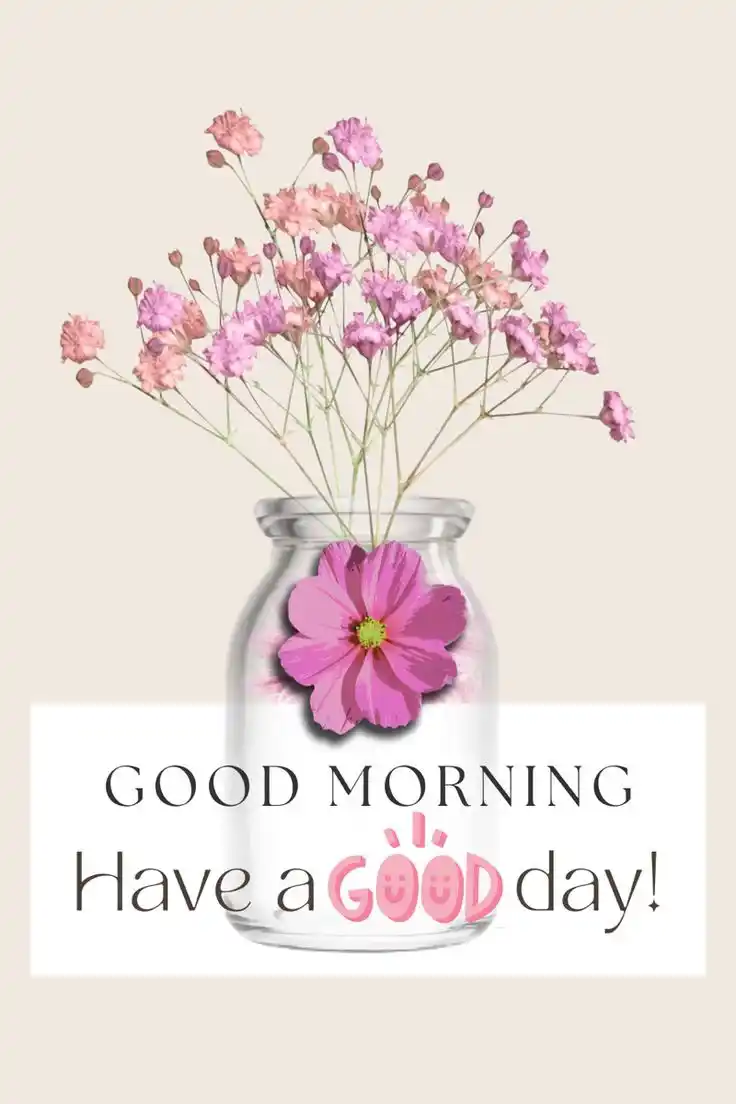 good morning breakfast and lunch photos