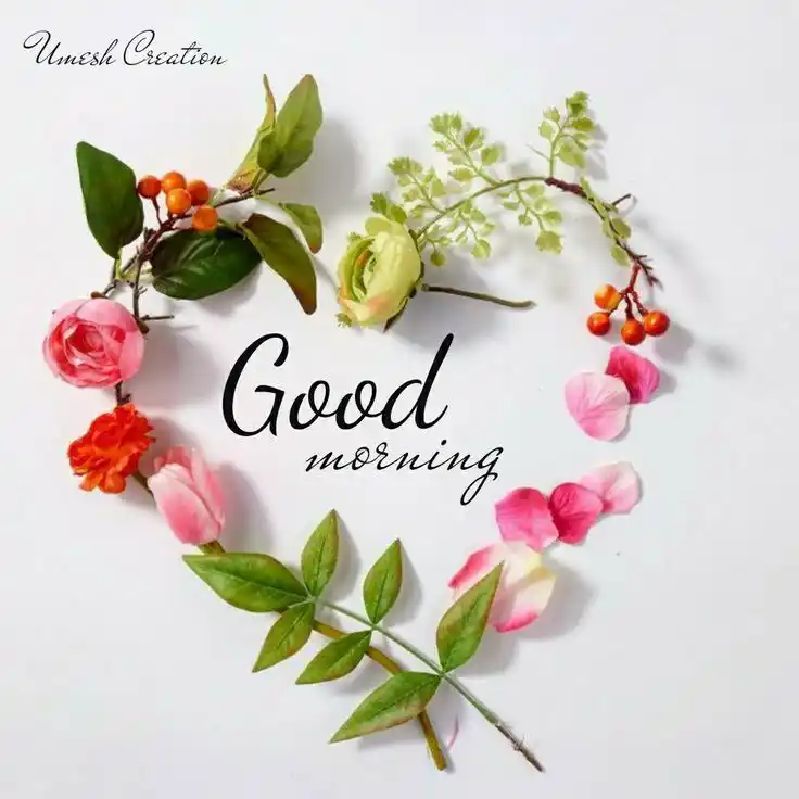 good morning images buddha