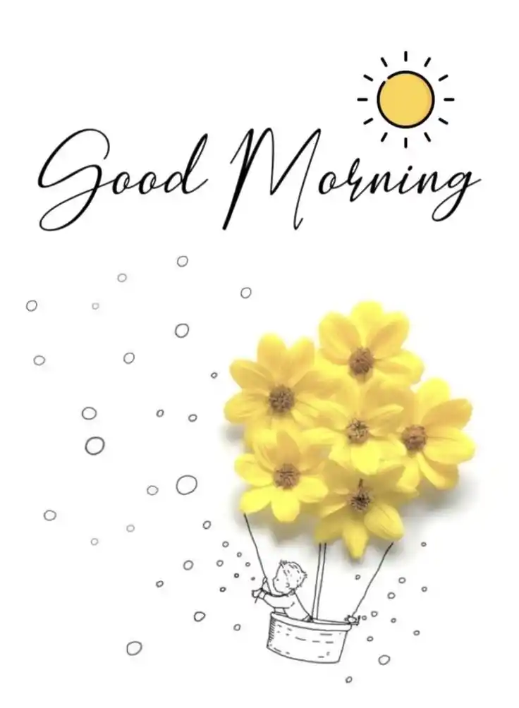 good morning images cats