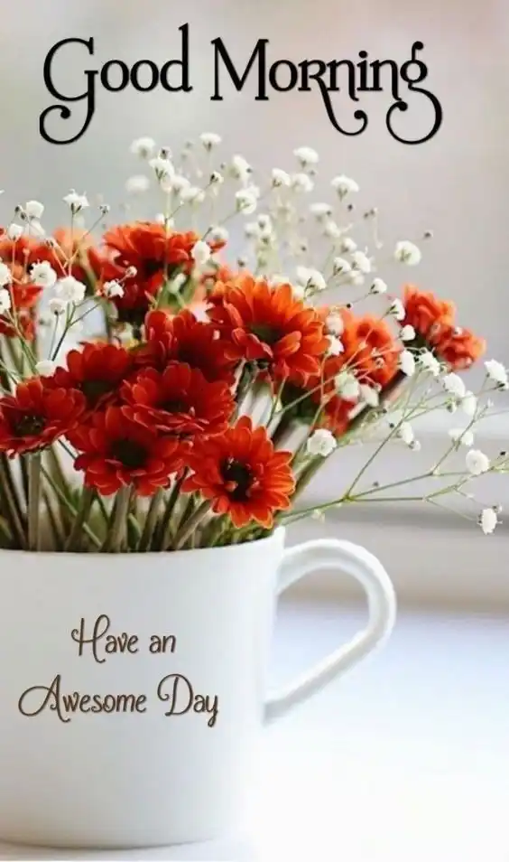 good morning in arabic images hd