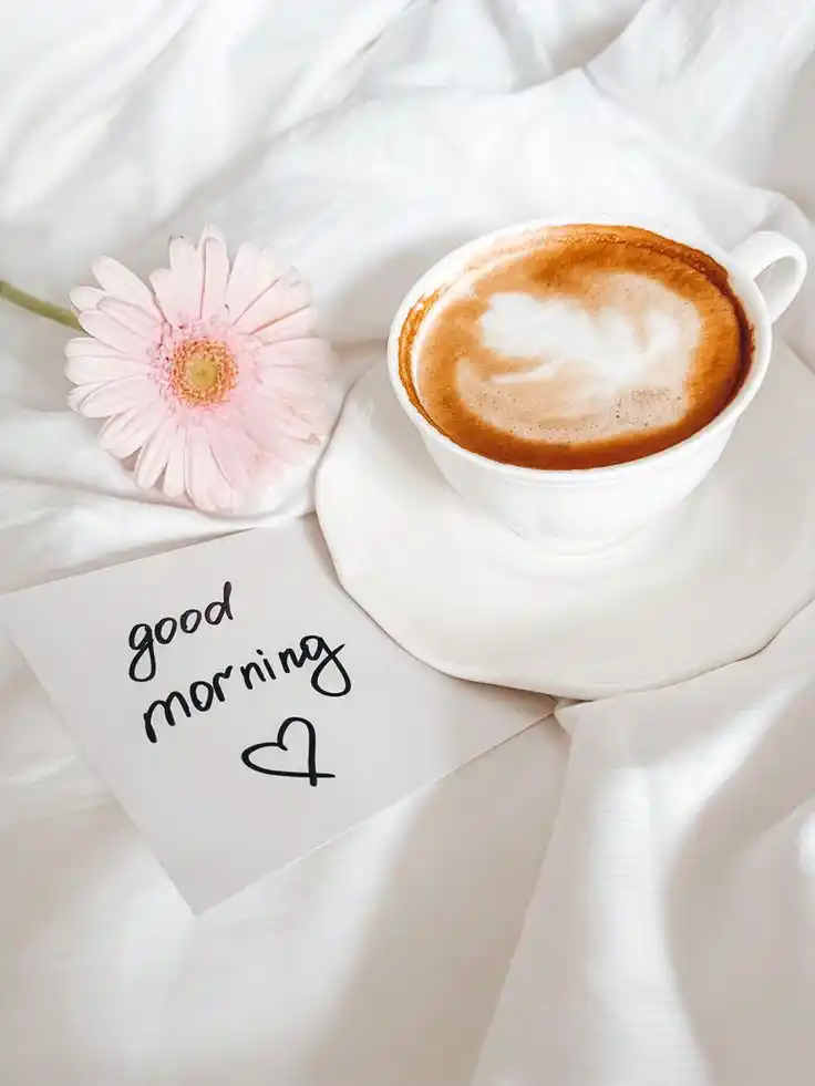good morning photos free