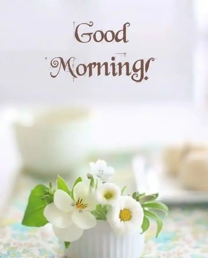 good morning pic dil