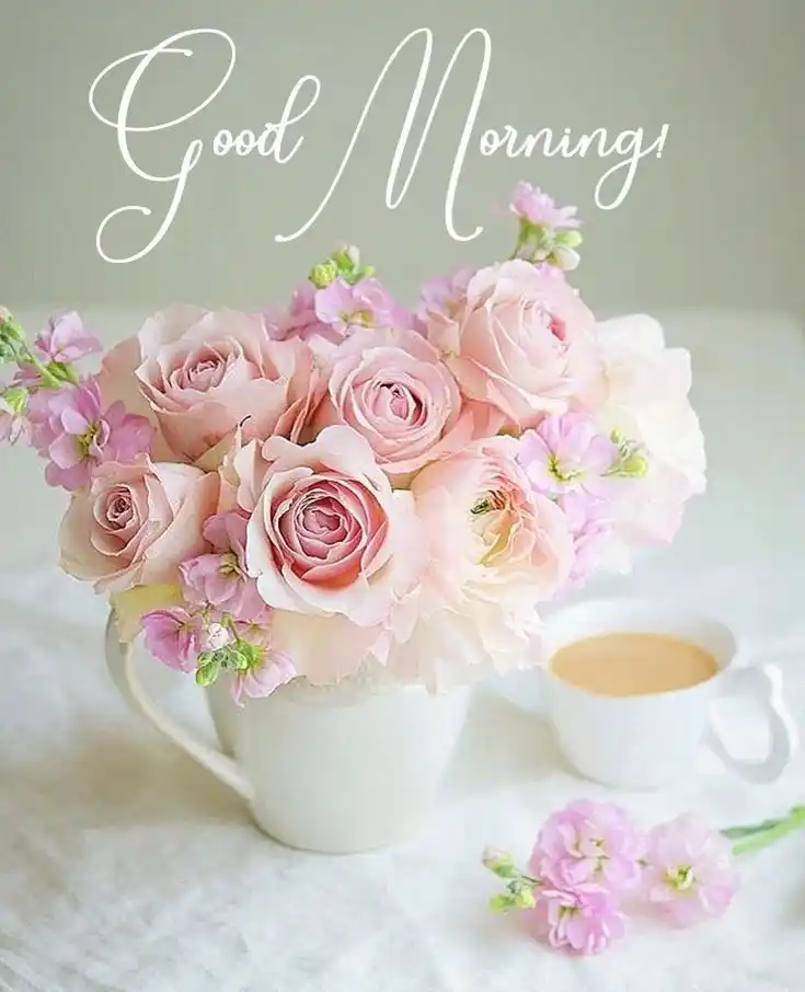 good morning pic download free