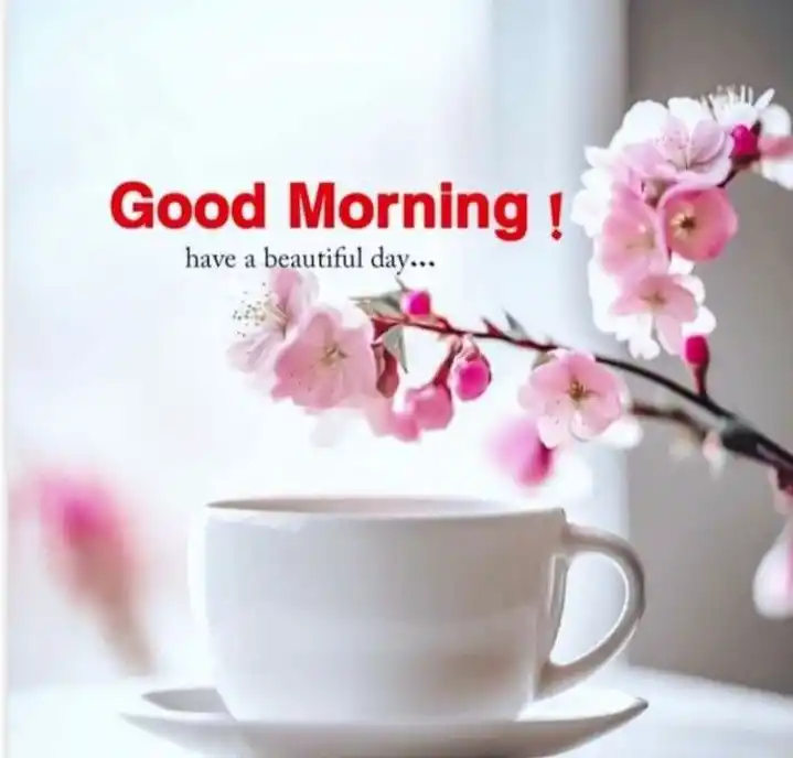 good morning pic dua