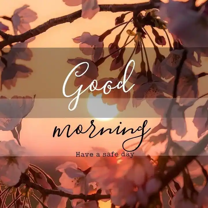good morning pictures