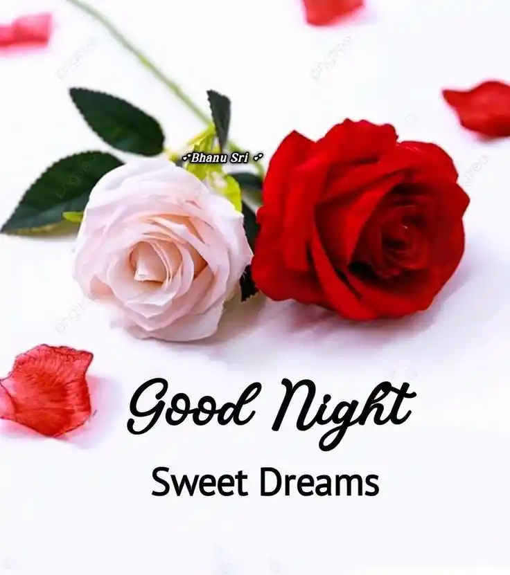good night all photo