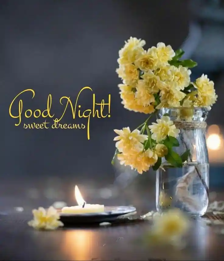 good night images and quotes