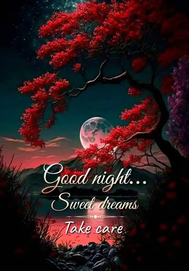 good night images cats