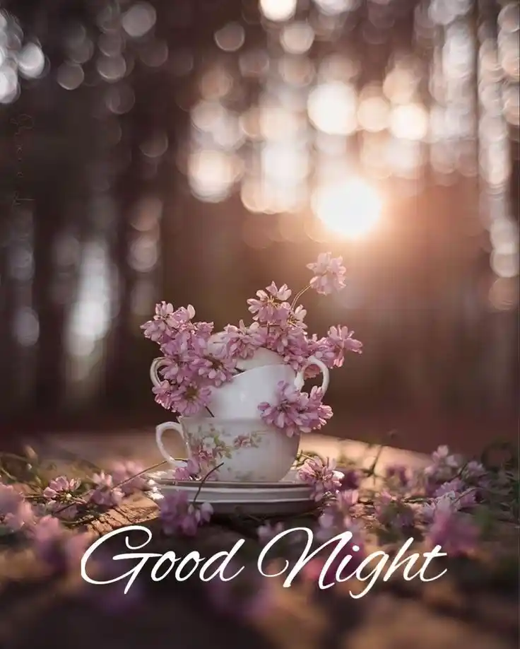 good night message and pic