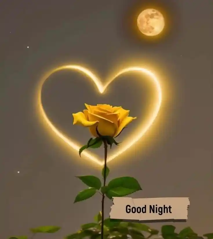 good night photo boy