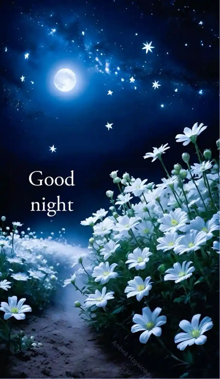 good night photo