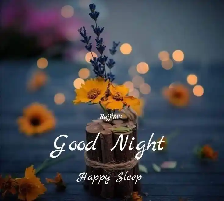 good night photos