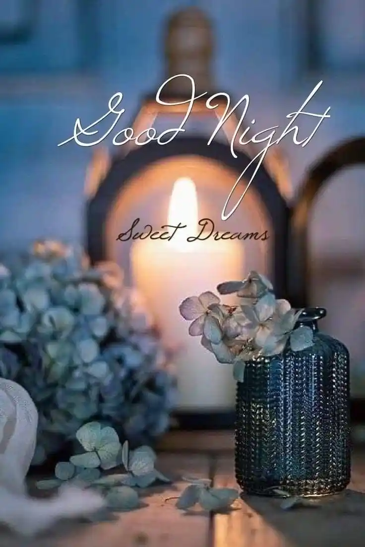 good night pic baby