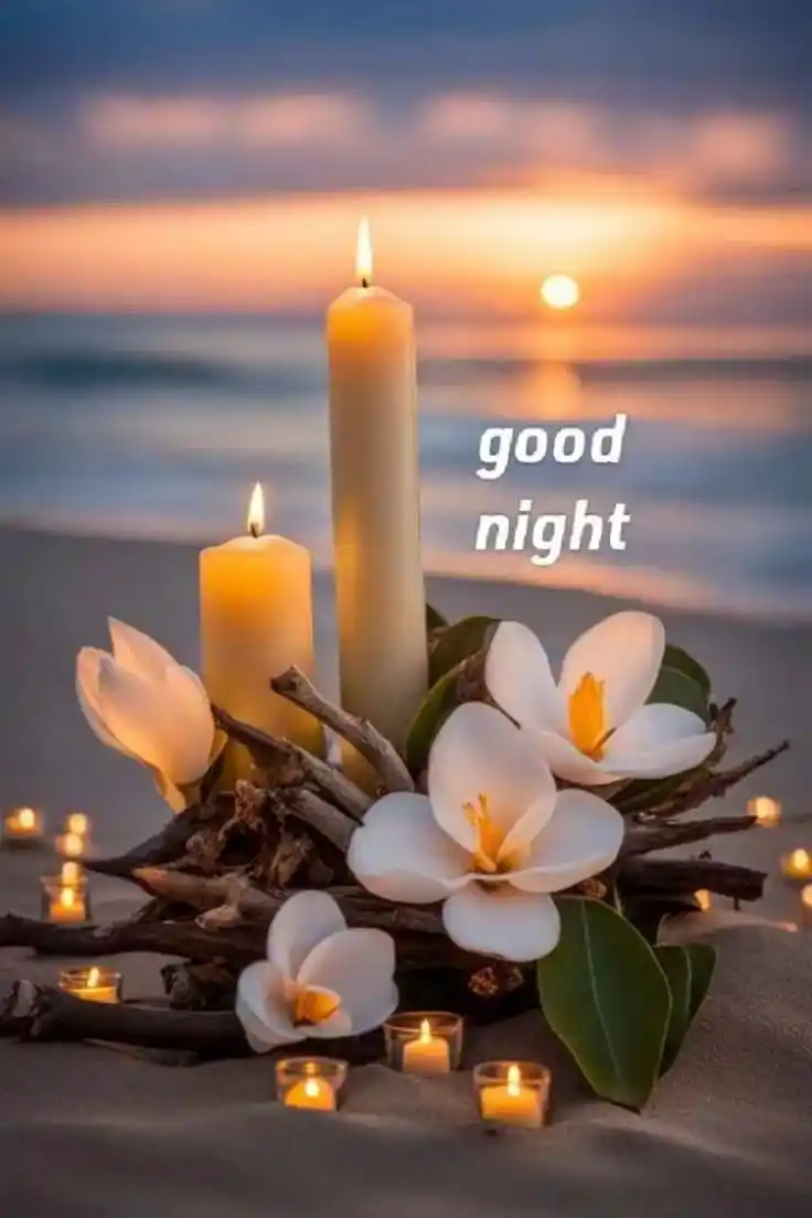 good night pic bengali