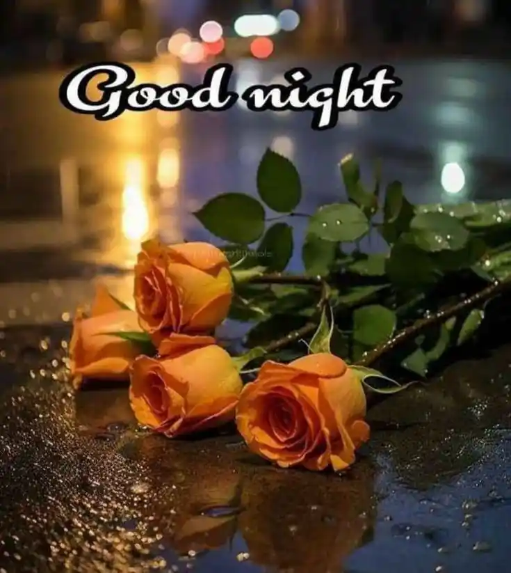 good night pic boy