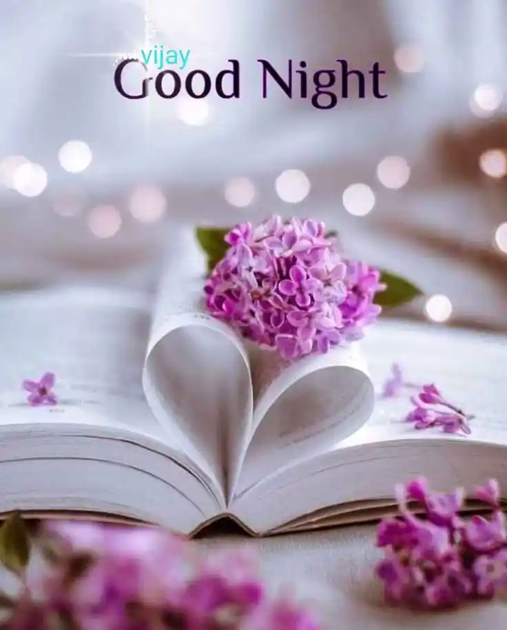 good night pic boyfriend