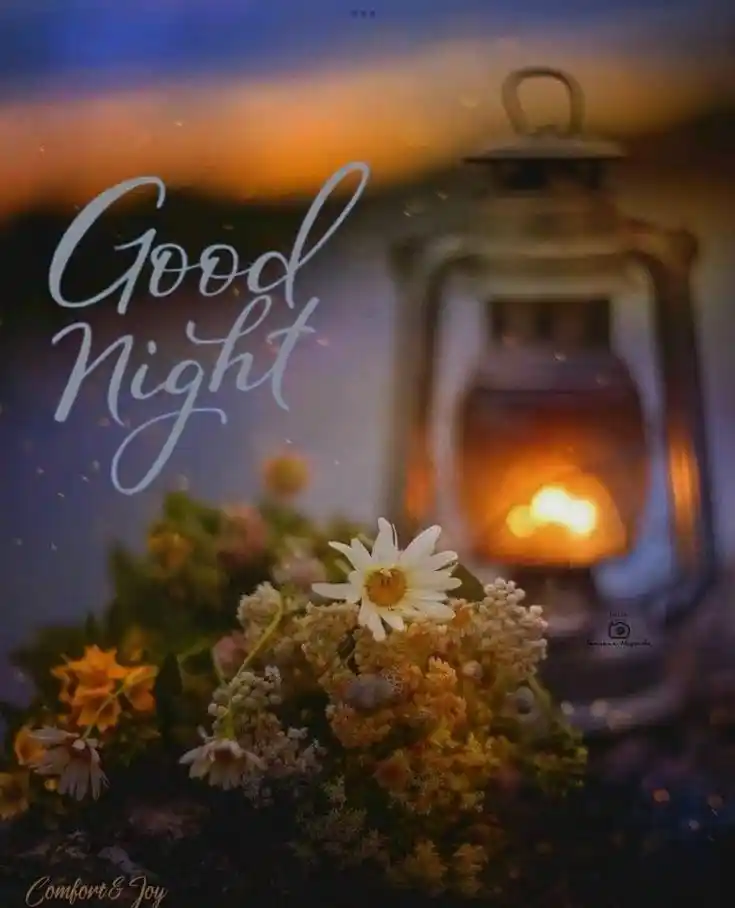 good night pic quotes