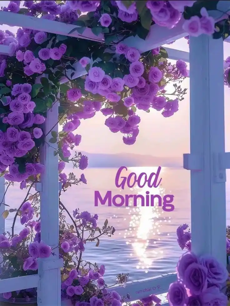 images and quotes good morning sunday