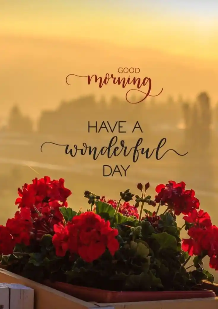 images of good morning saturday with quotes
