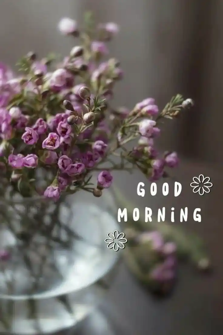 romantic good morning pic