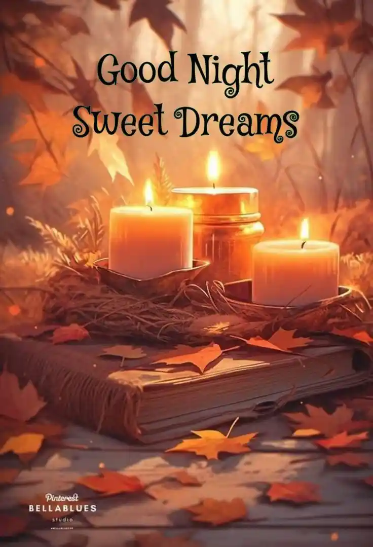 sweet good night pictures